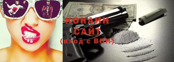 шишки Белоозёрский