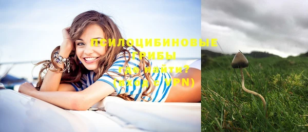 шишки Белоозёрский