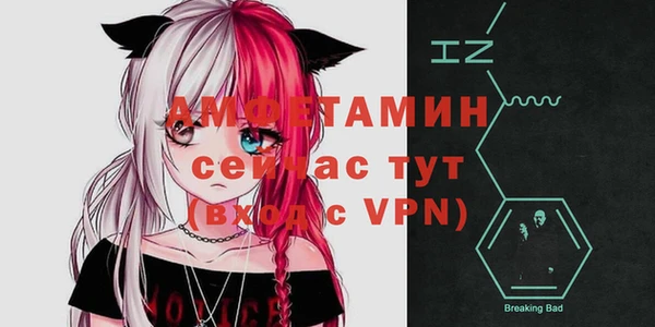 шишки Белоозёрский