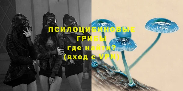 MDMA Белокуриха