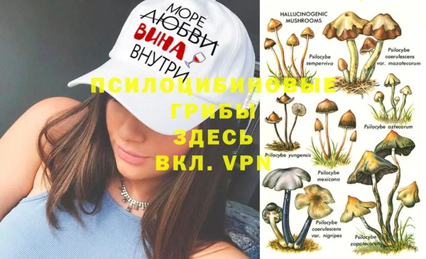 крисы Беломорск