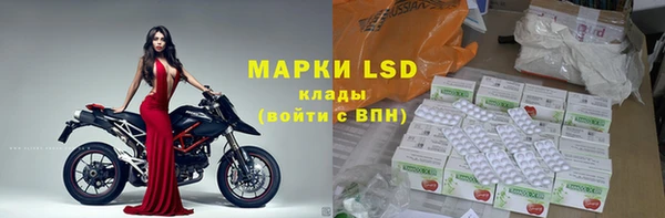 шишки Белоозёрский