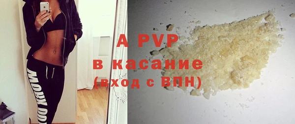 шишки Белоозёрский