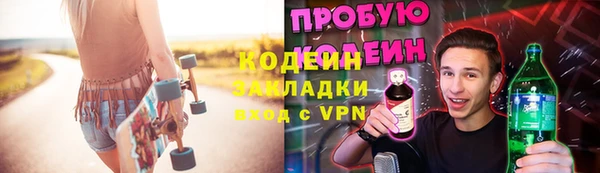 шишки Белоозёрский
