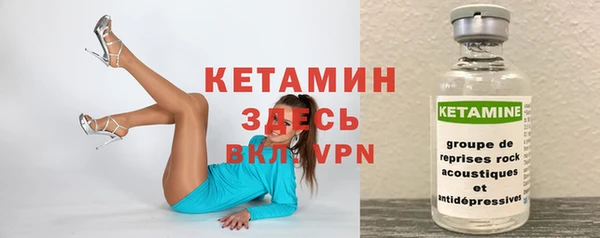 шишки Белоозёрский