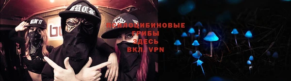 крисы Беломорск