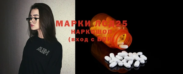 шишки Белоозёрский