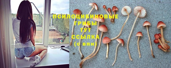шишки Белоозёрский