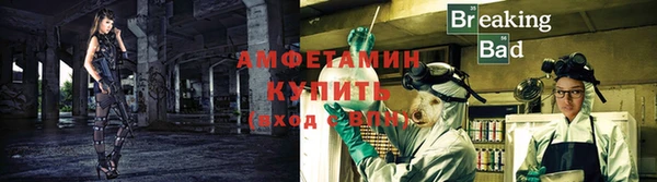 шишки Белоозёрский